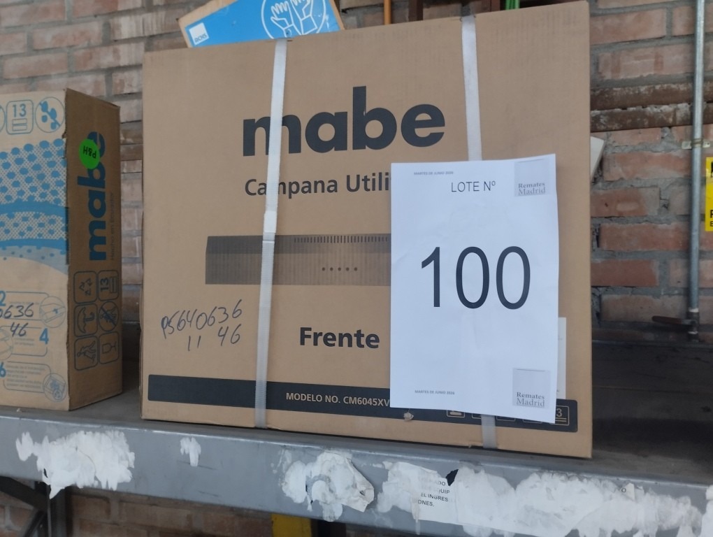 100_LOTE_001