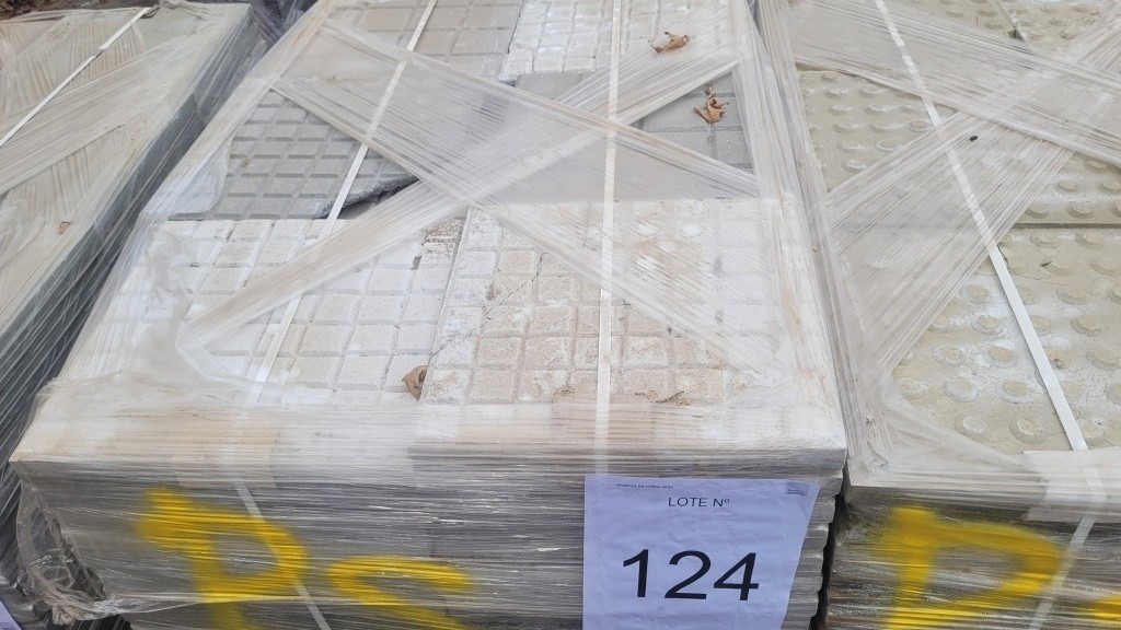 124_LOTE_001