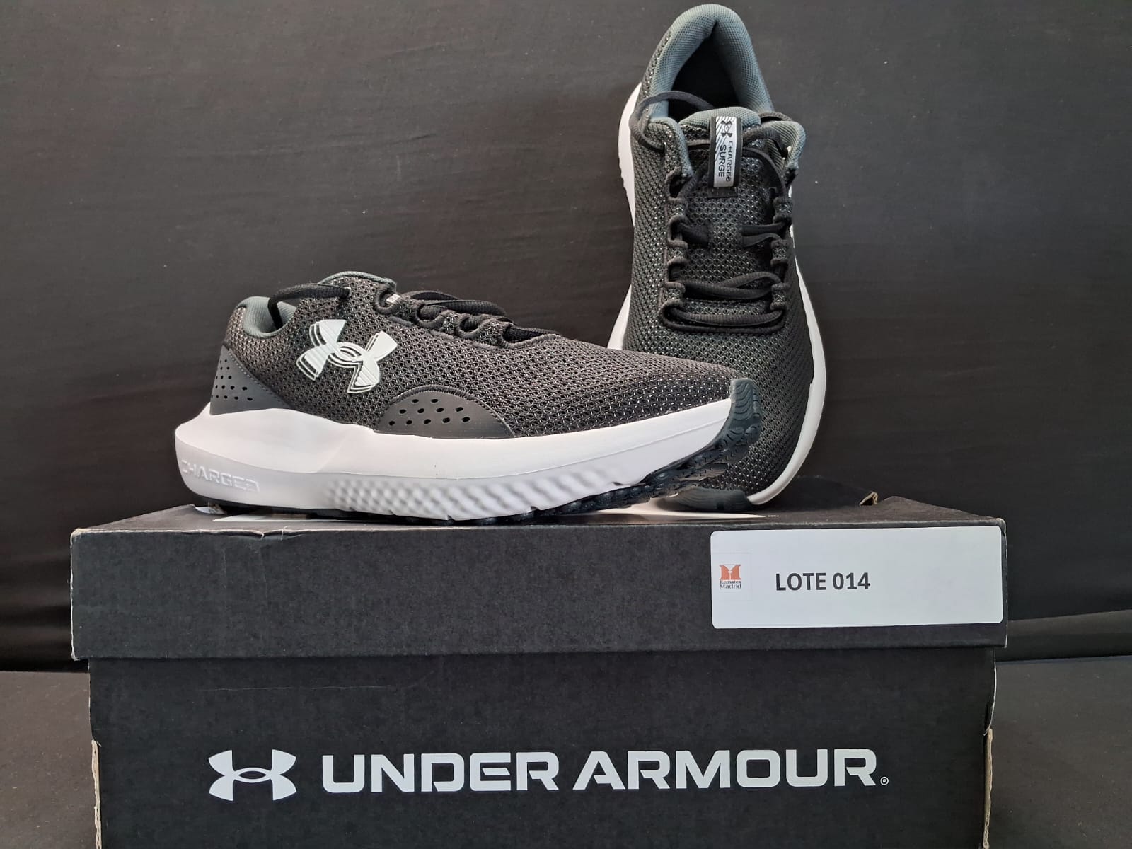 14_LOTE_001