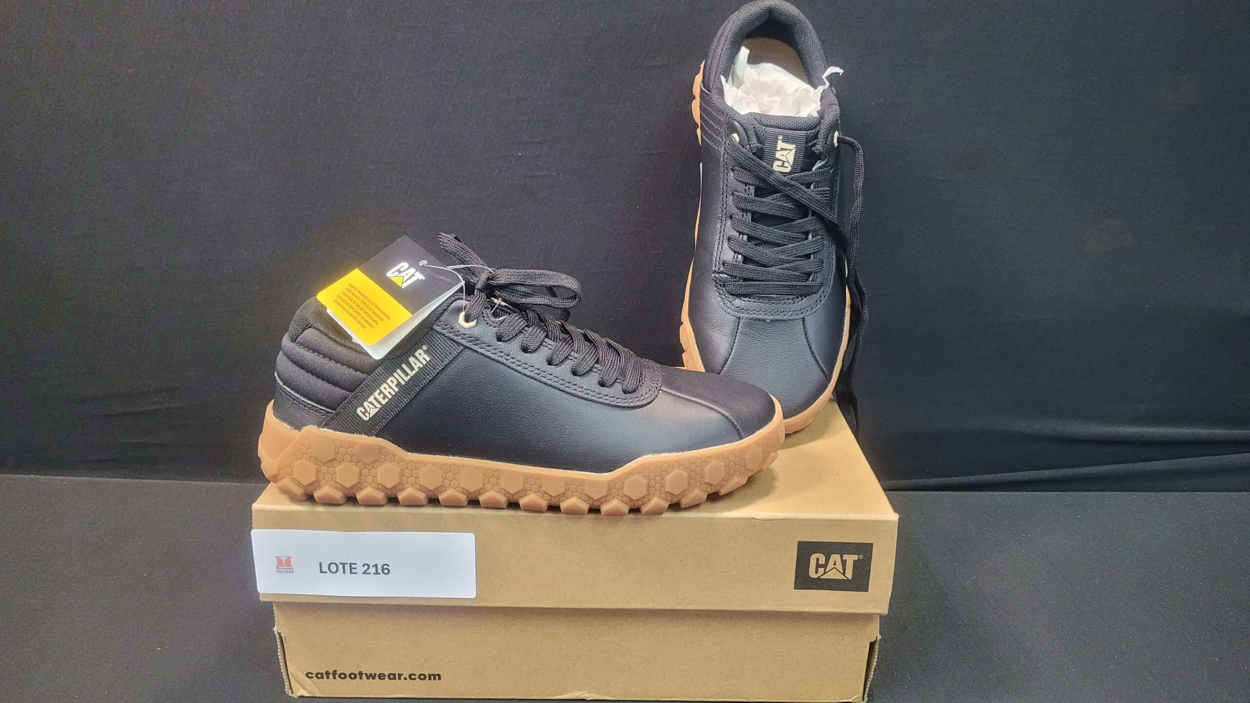 216_LOTE_001