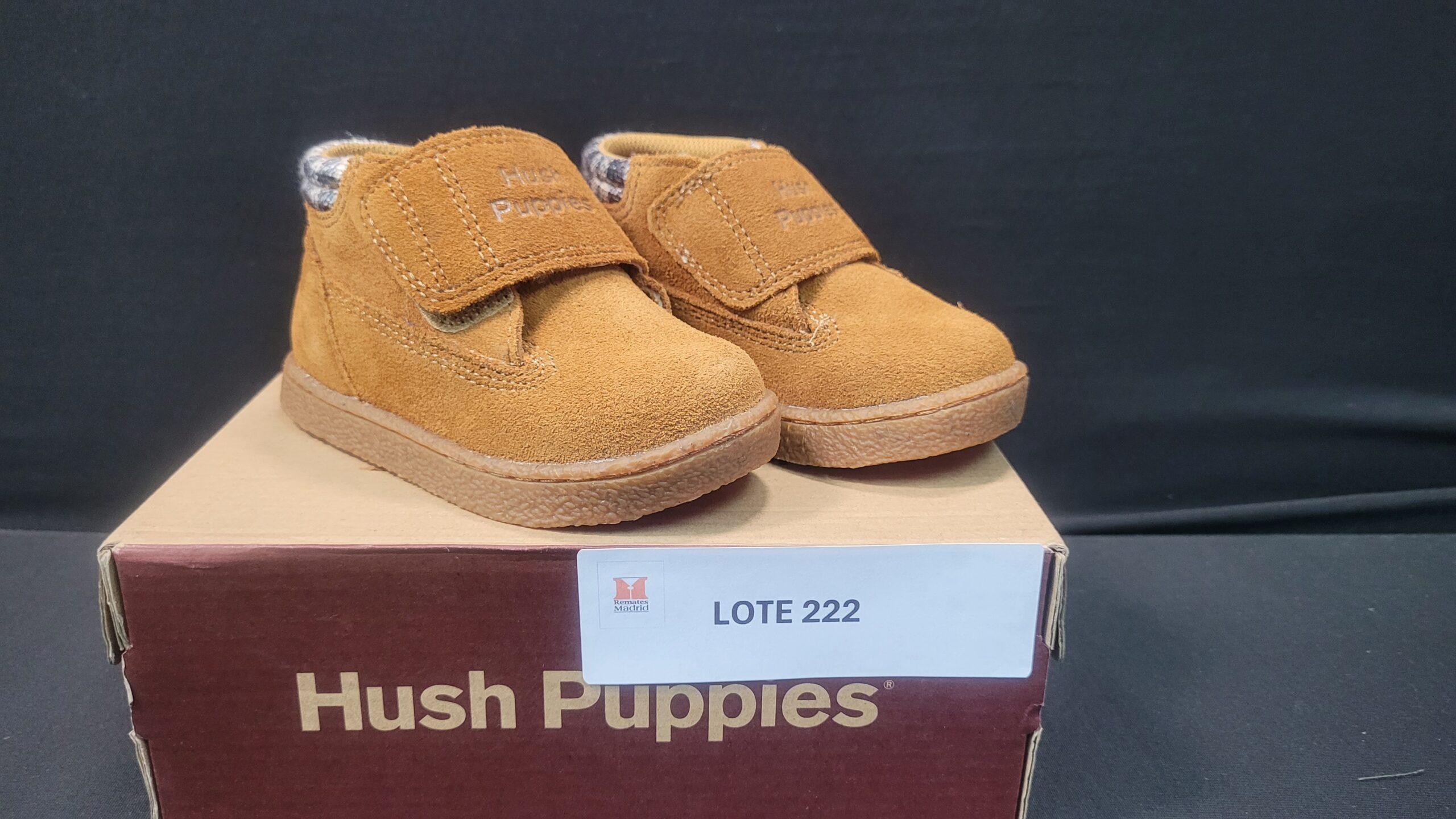 222_LOTE_001