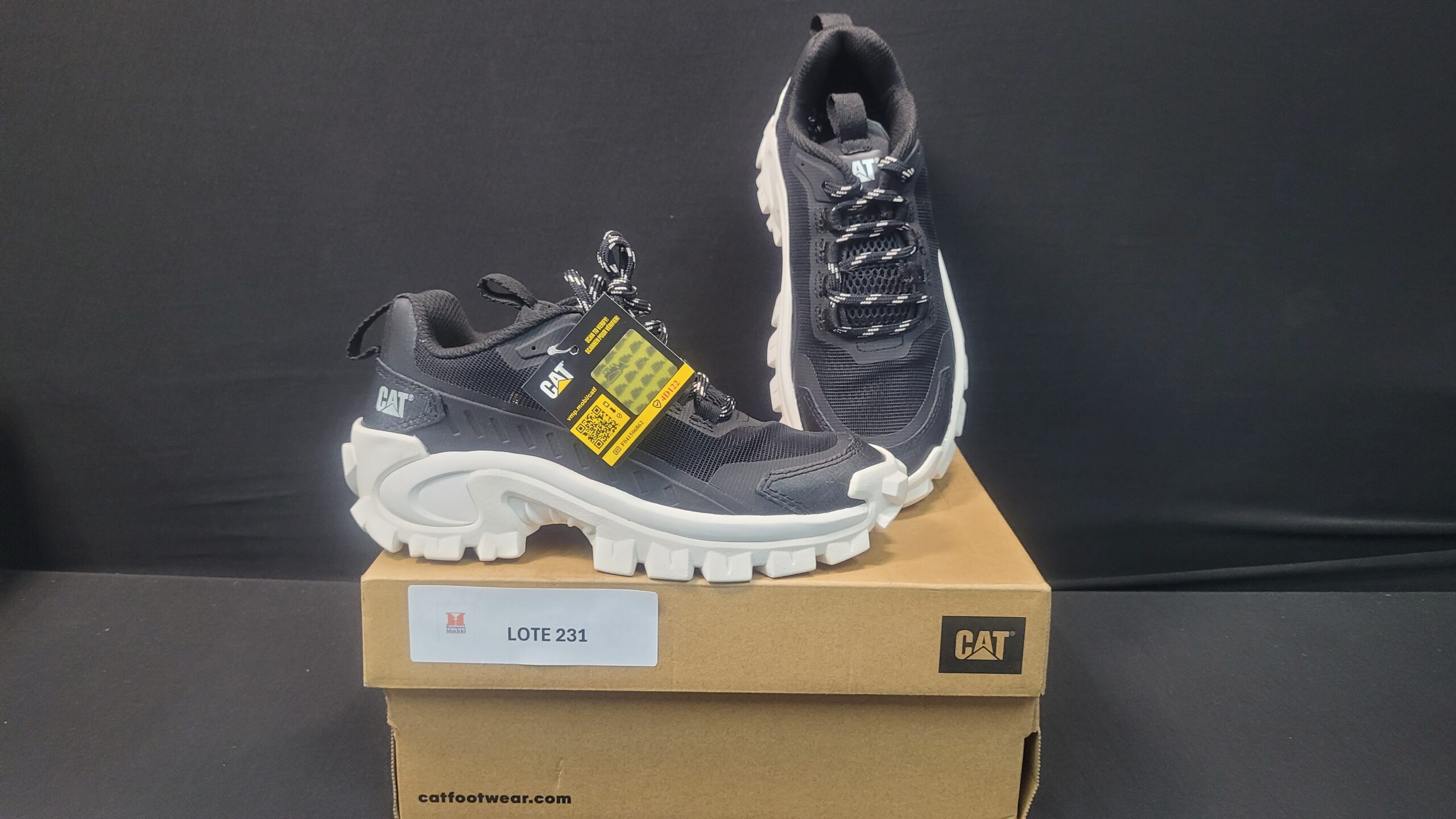 231_LOTE_001