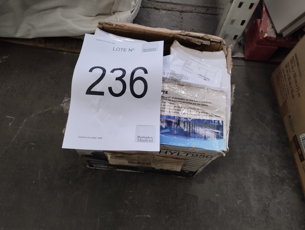236_LOTE_001