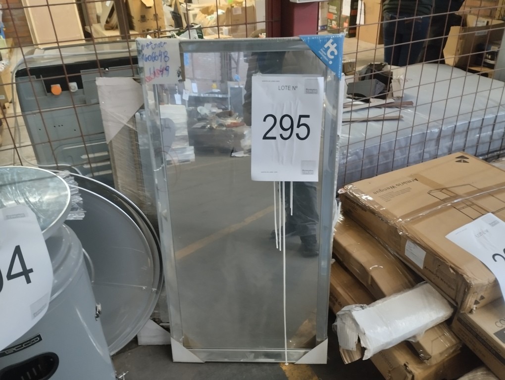 295_LOTE_001