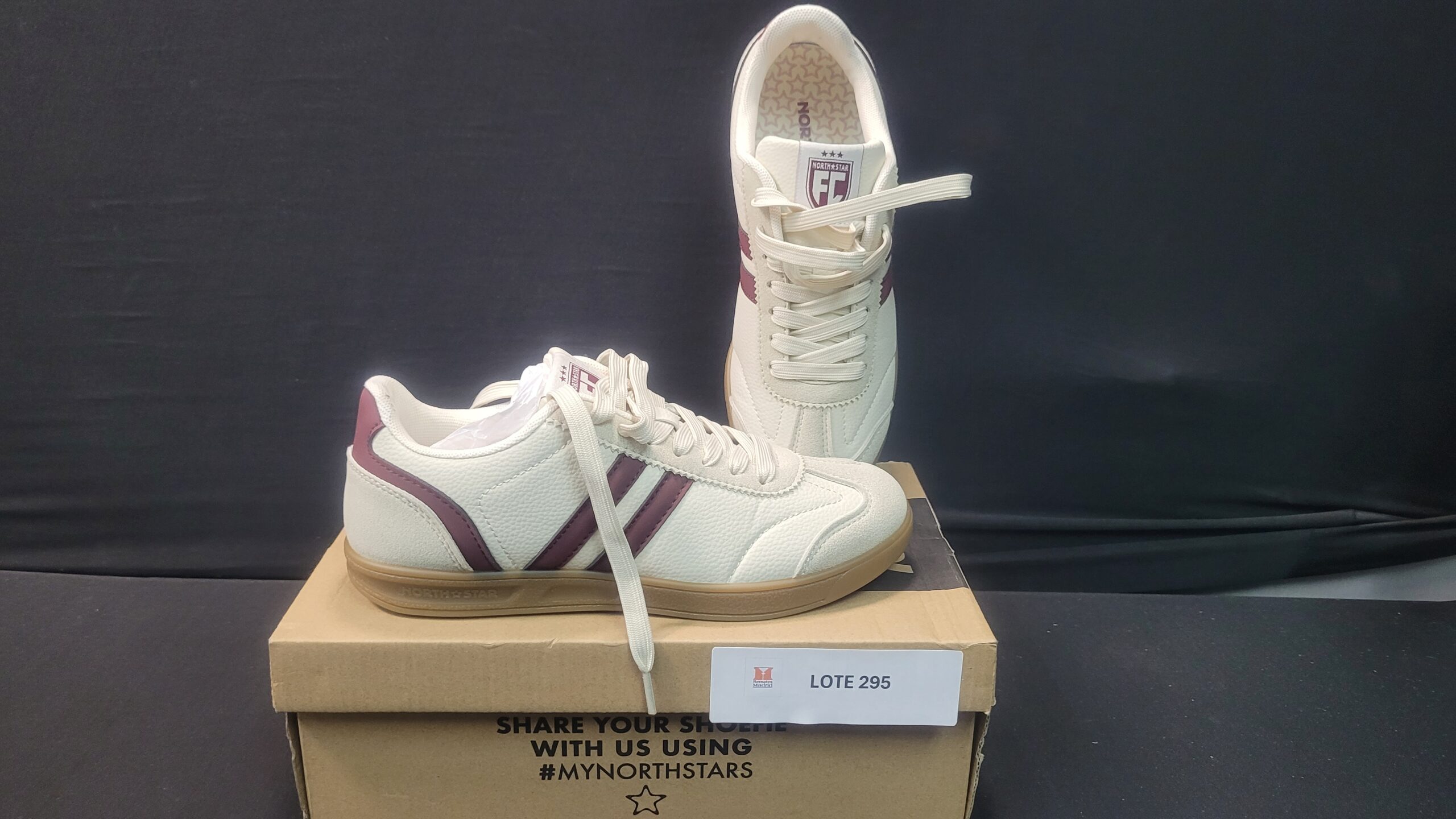 295_LOTE_001