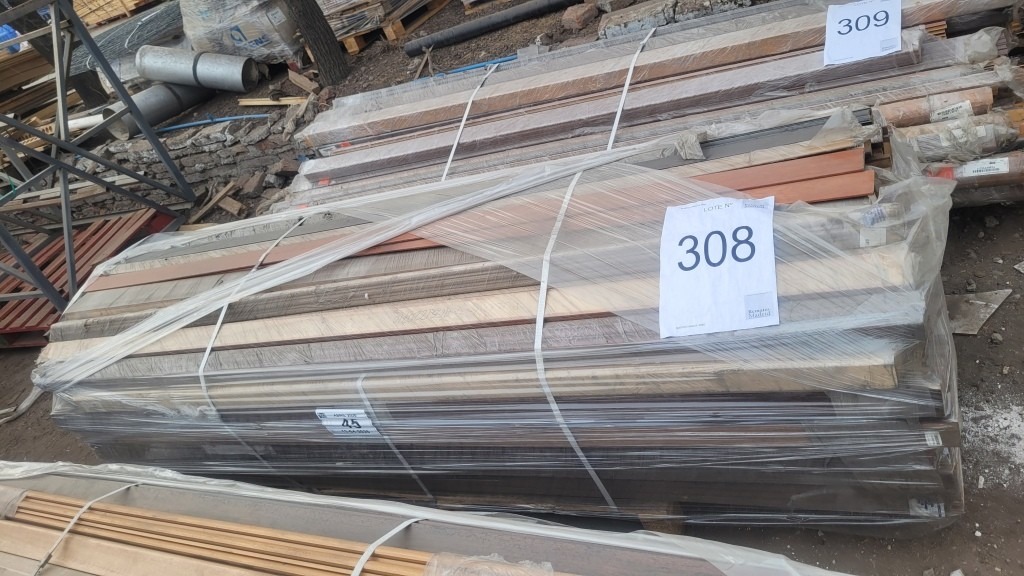 308_LOTE_001