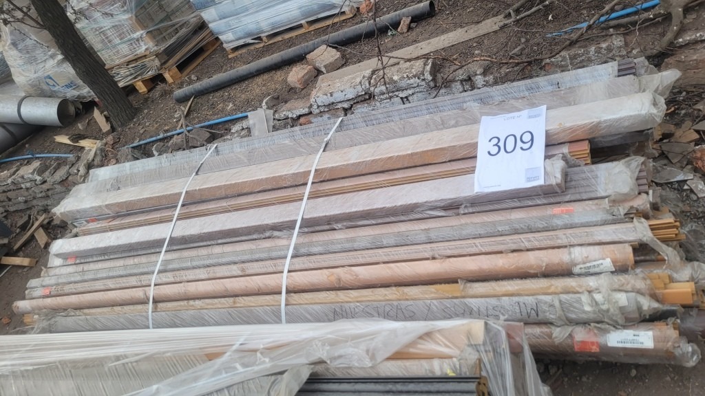 309_LOTE_001
