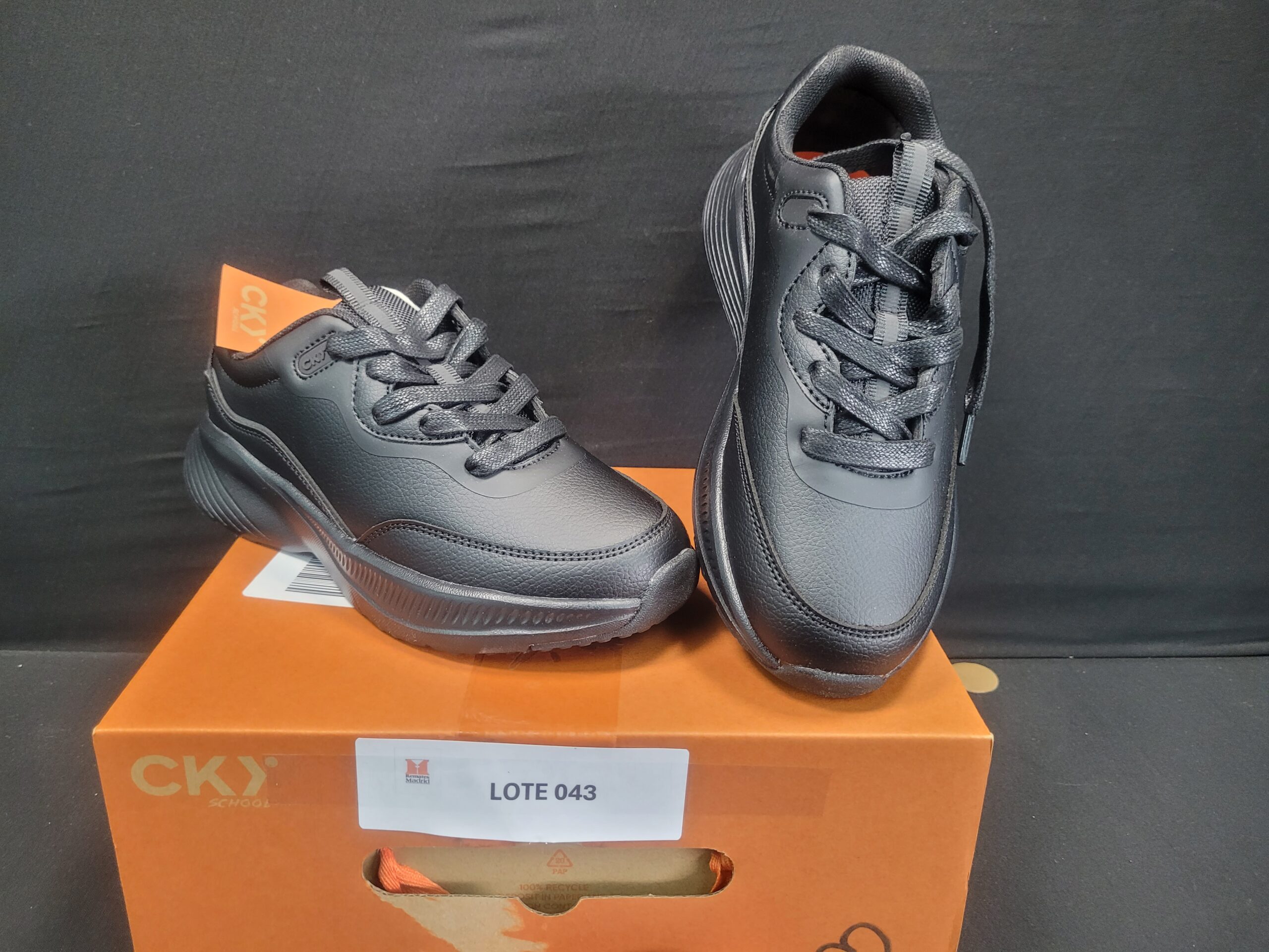 43_LOTE_001