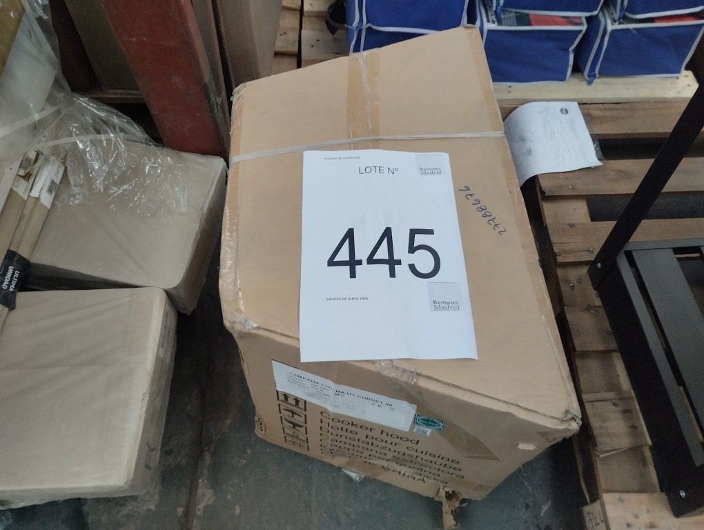 445_LOTE_001