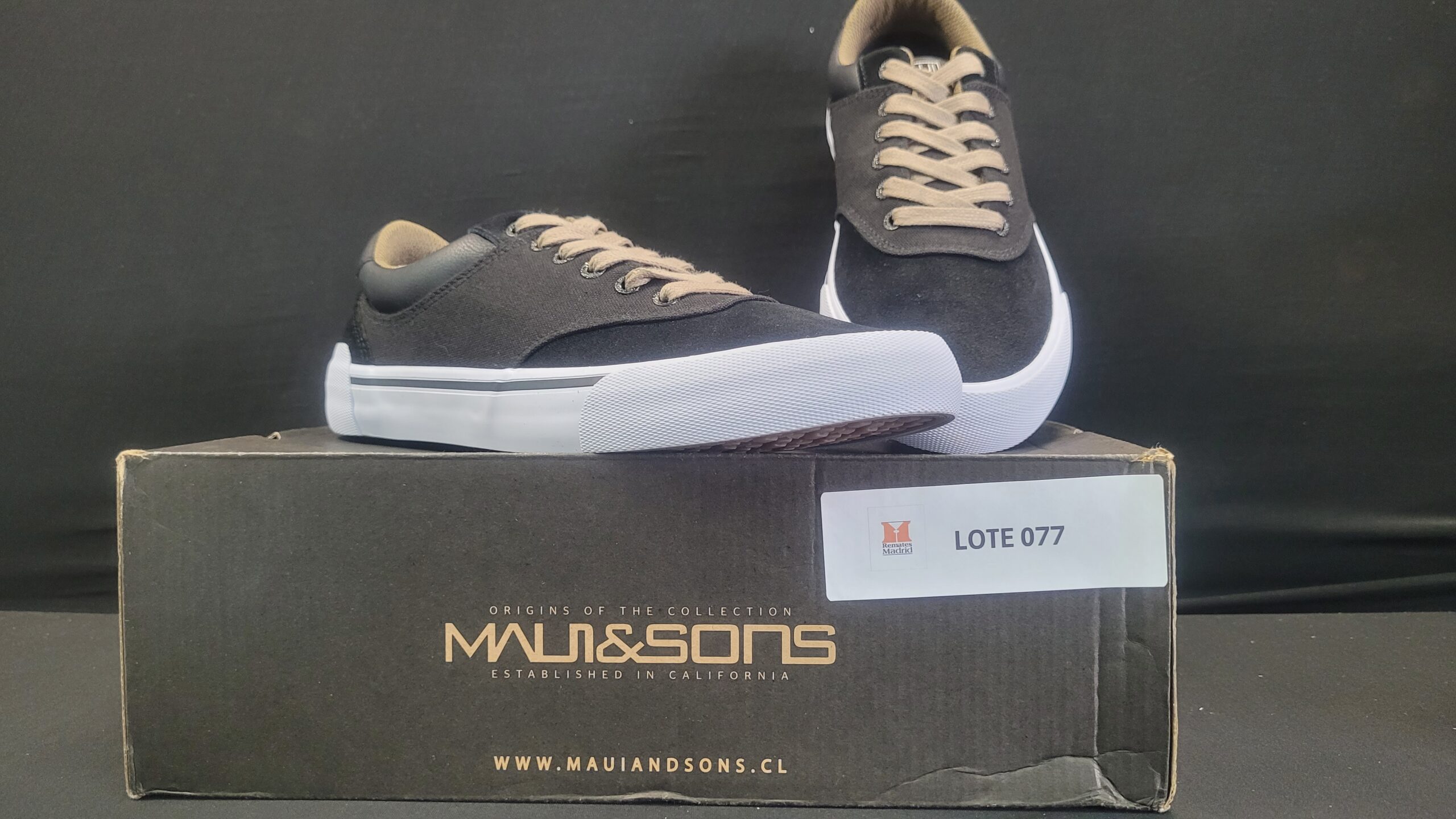 77_LOTE_001