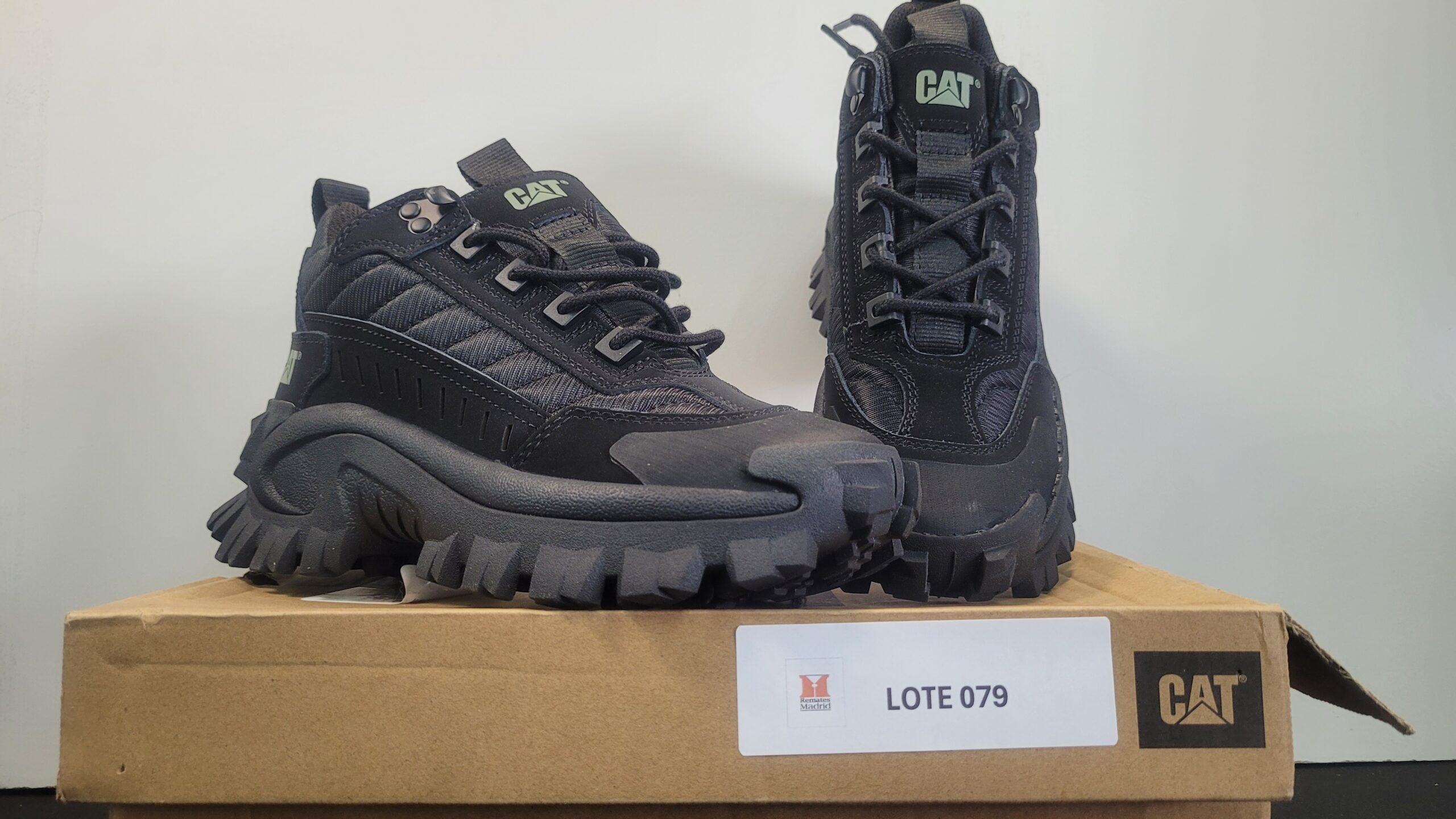 79_LOTE_001