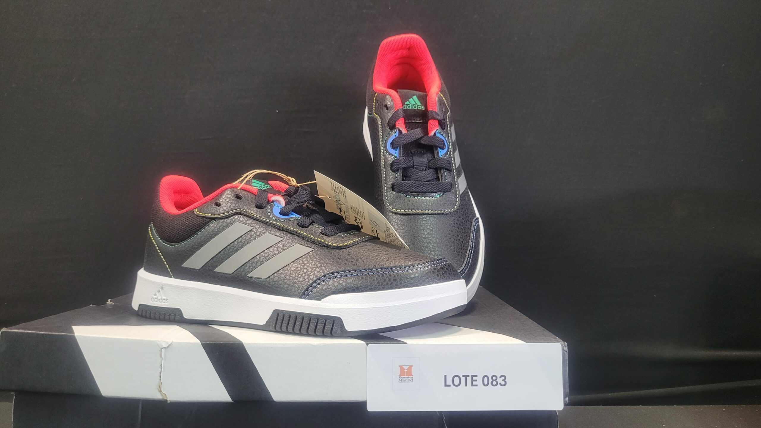 83_LOTE_001